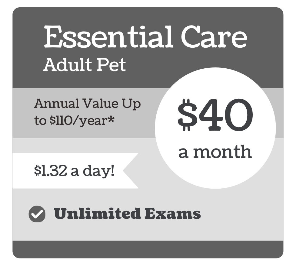 New Canaan_pricing_Essential_Rustic